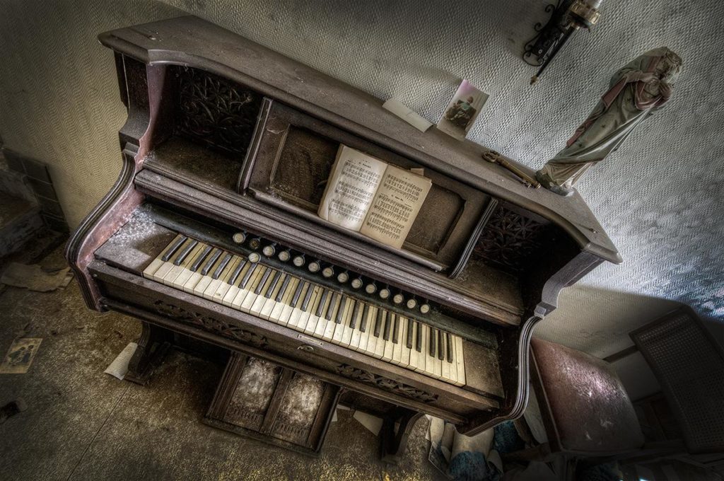 The Organ by Daanoe