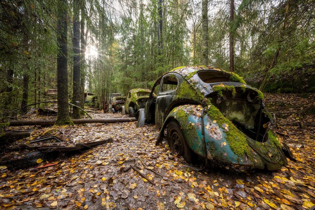 Driven by Nature by Daanoe