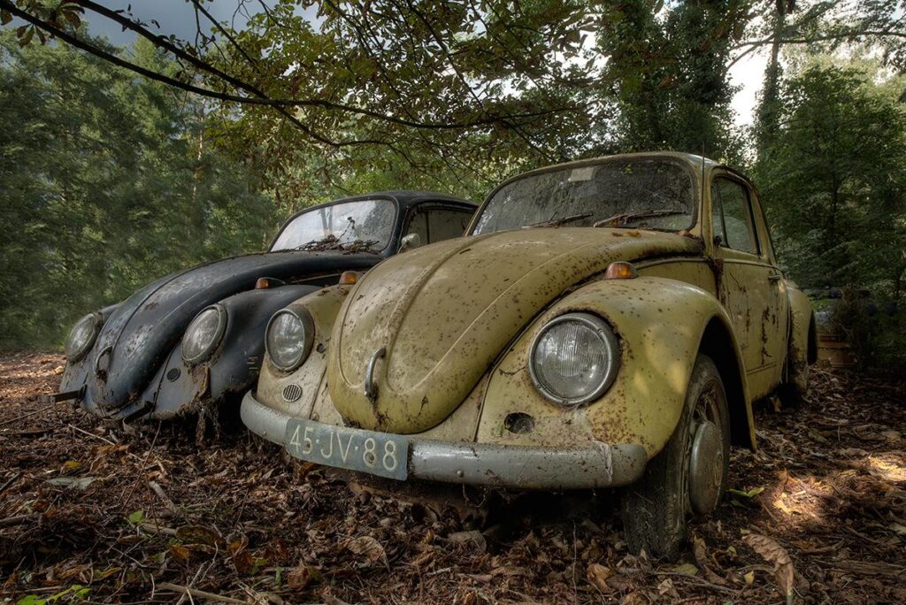 Forgotten Beetles by Daanoe