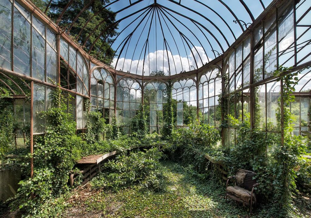 Force of Green by Daanoe