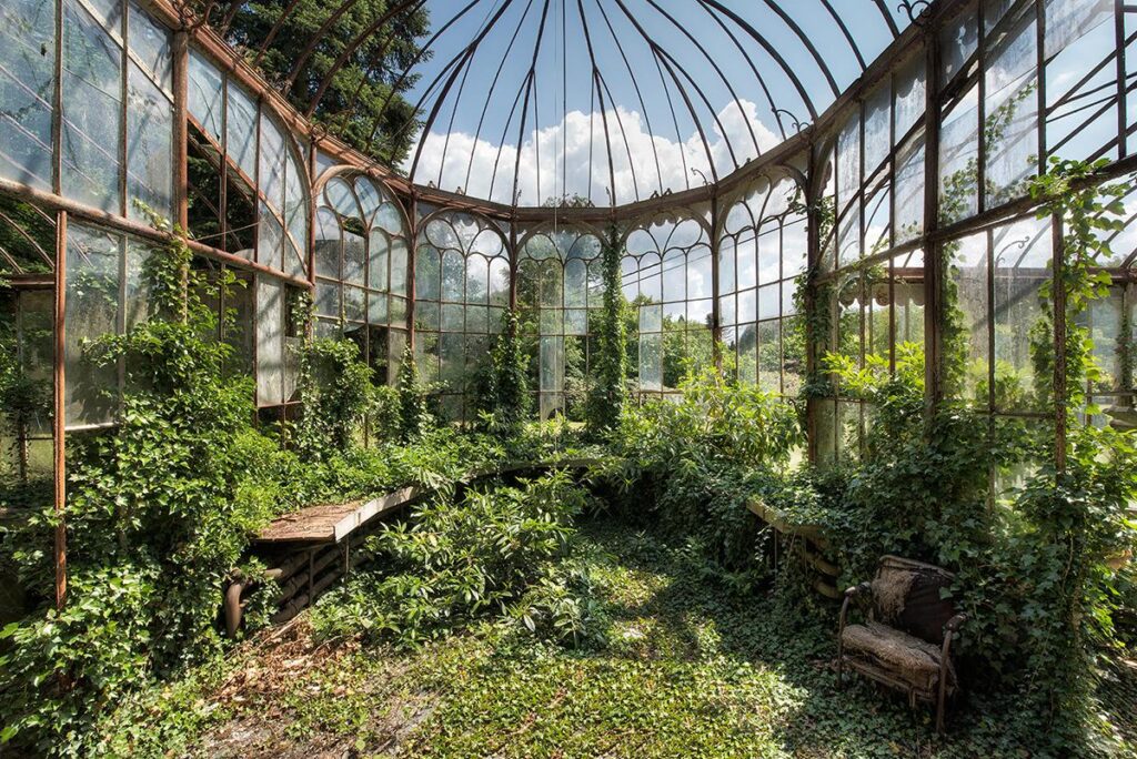 Forces of Nature by Daanoe