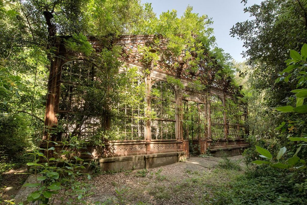 Green Fire by Daanoe