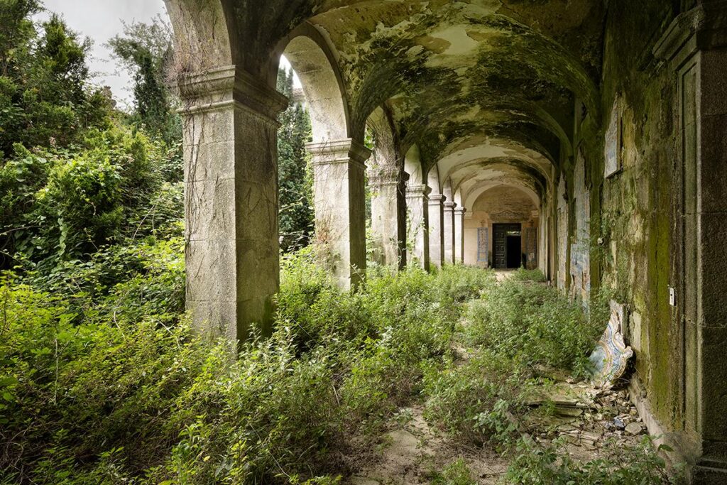 Green Mystery by Daanoe