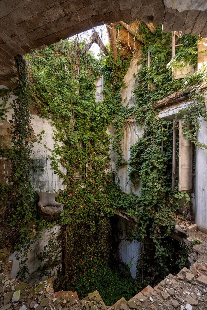 Verdant Falls by Daanoe