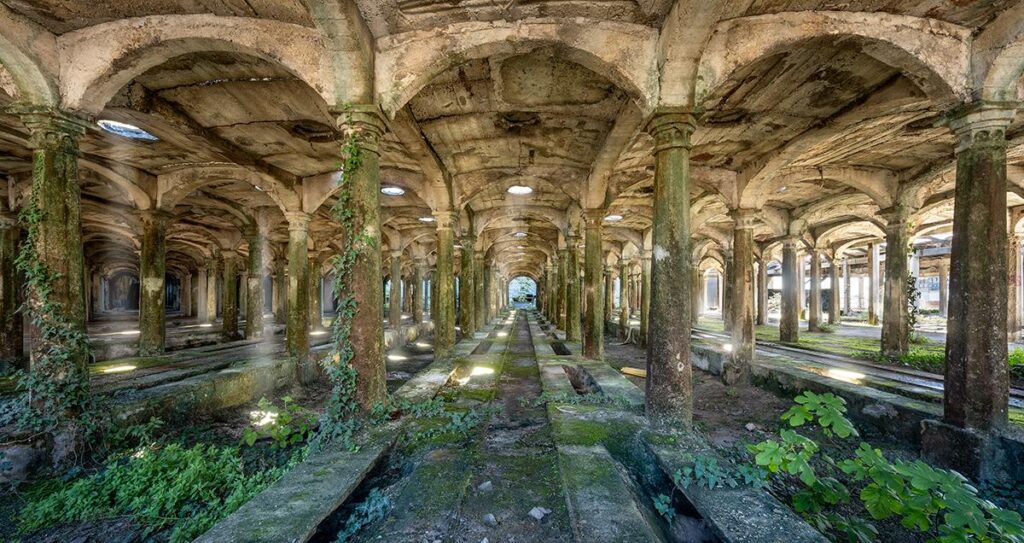 Concrete Jungle by Daanoe