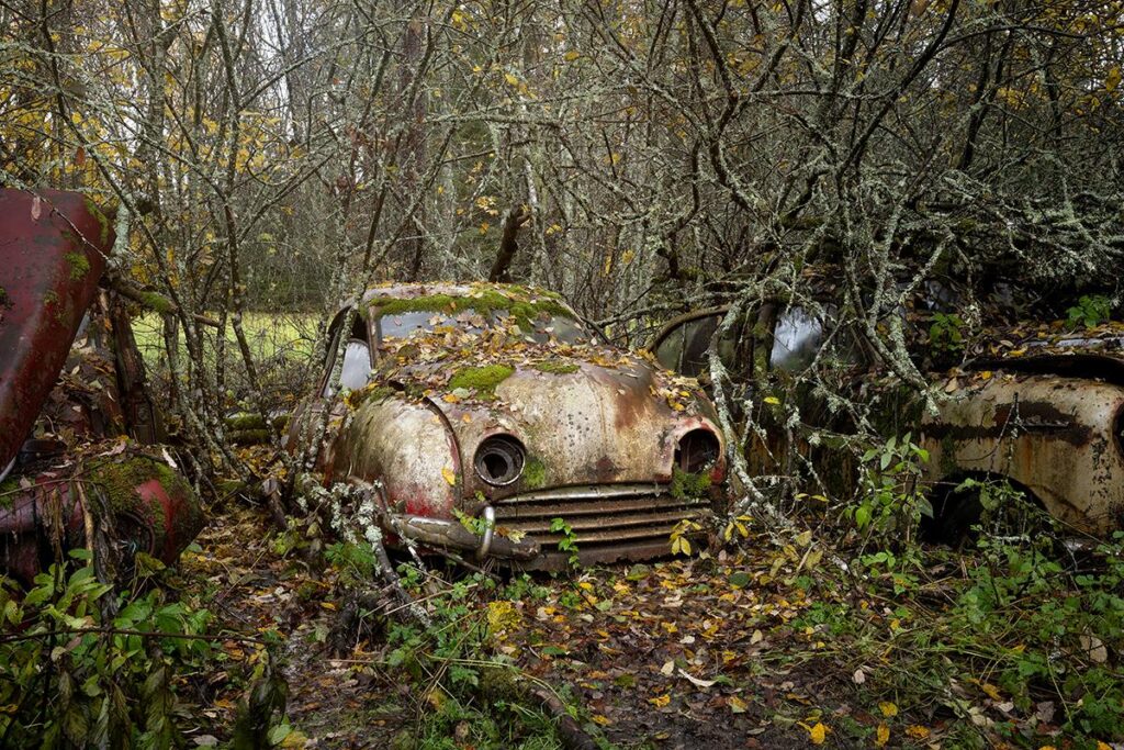 Nature's Embrace by Daanoe