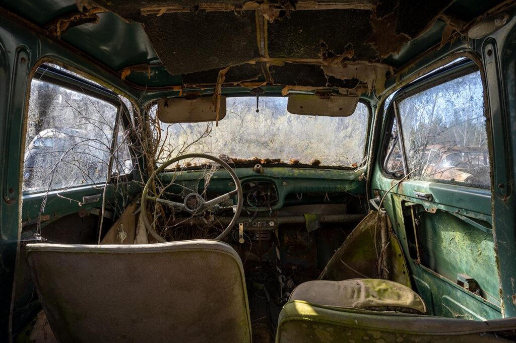 Nature Takes The Wheel by Daanoe