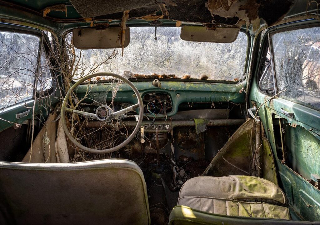 Overgrown Drive by Daanoe